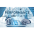 Collections of Research Developed by Niwotridge Consulting – Herding Cats Avatar